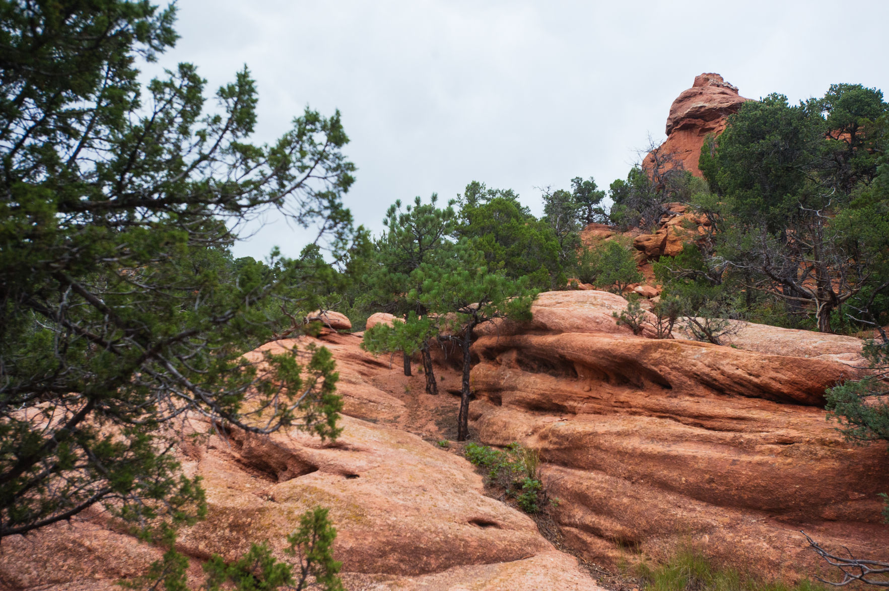 Aiken Canyon Trail